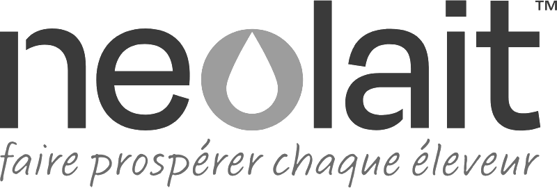 Neolait